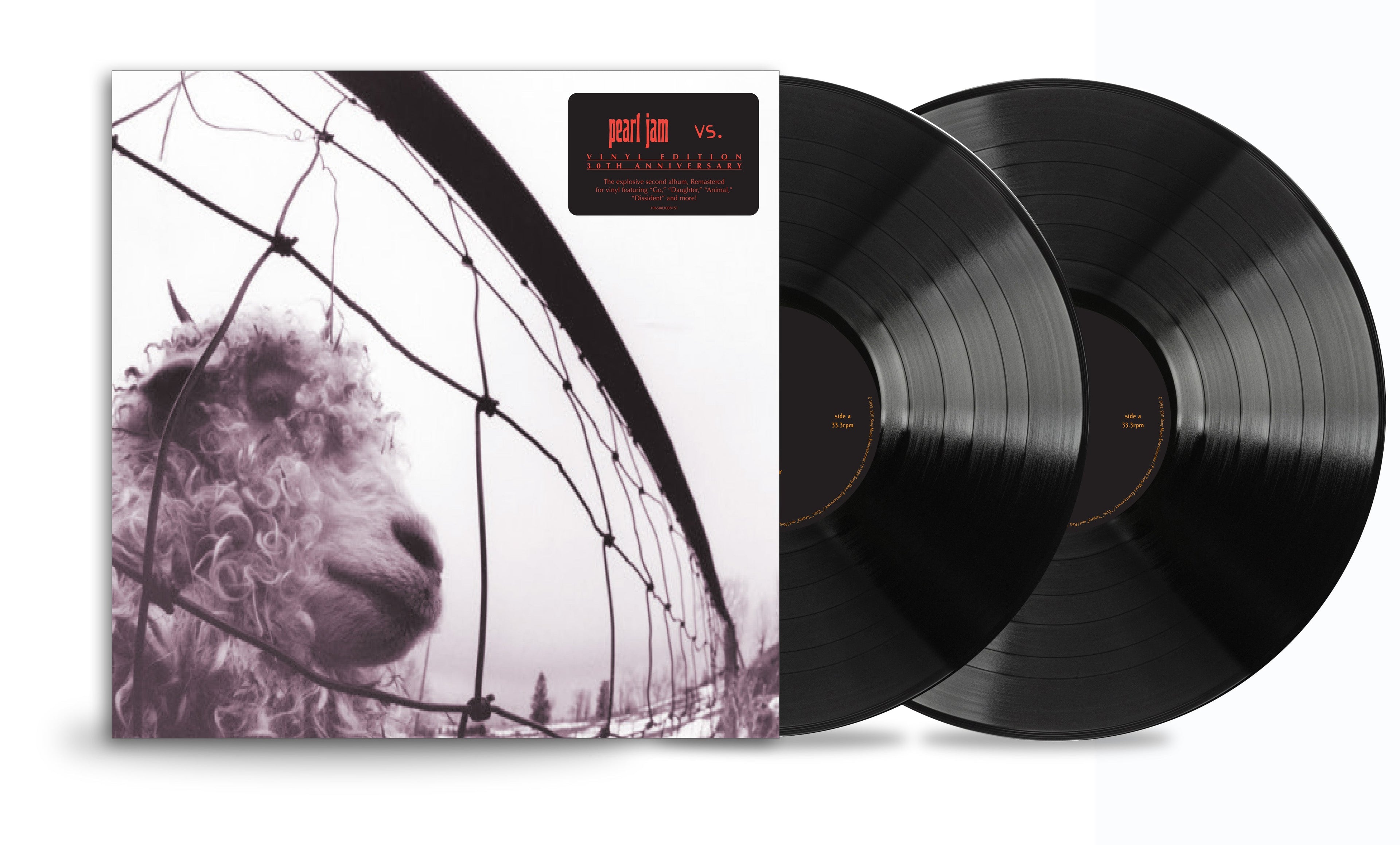 Pearl Jam Vs. (30th Anniversary Edition) Vinyl Record