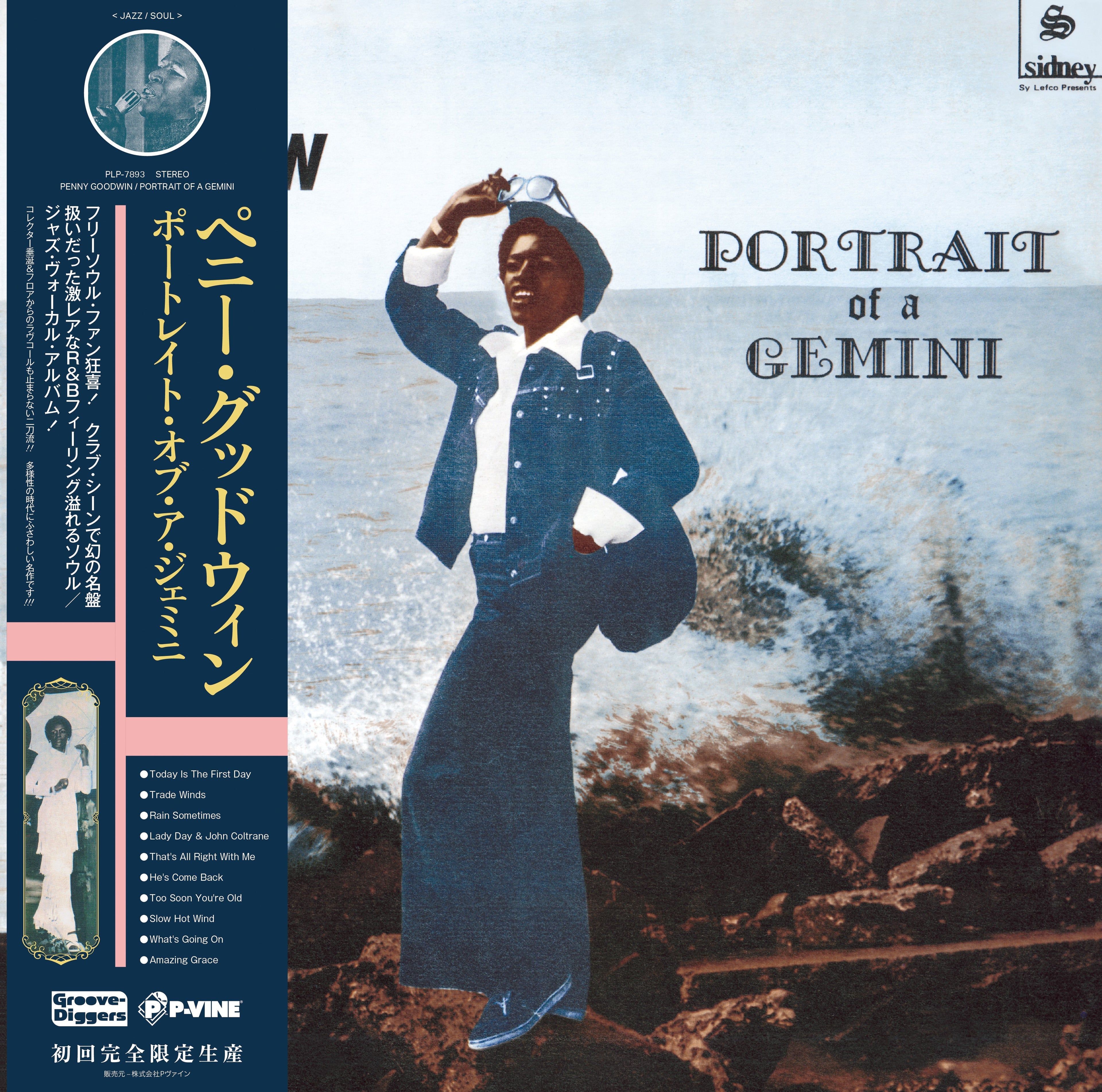 Portrait Of A Gemini Vinyl Record