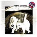 What A Mess! Vinyl Record
