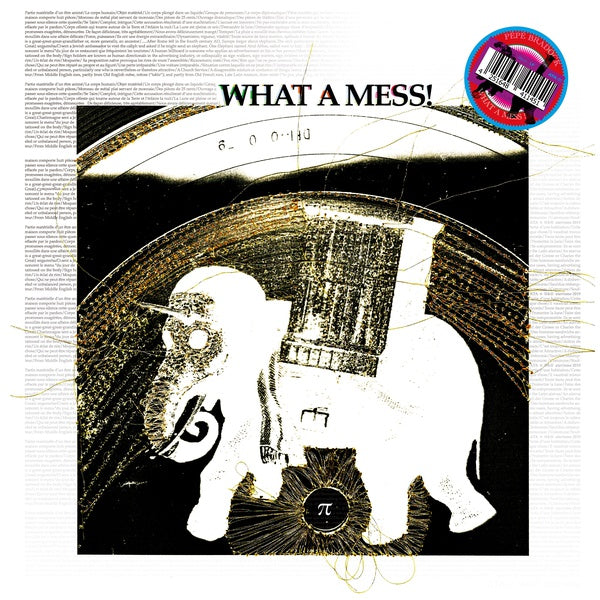 What A Mess! Vinyl Record
