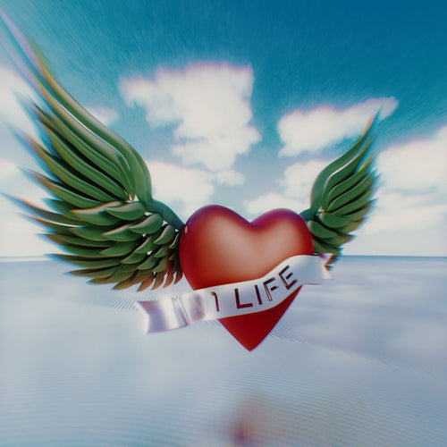1 Life Vinyl Record