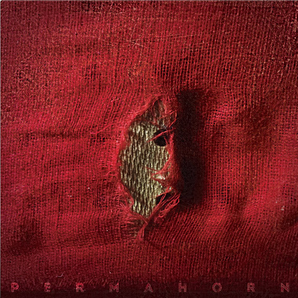 My Blood Carries My Dreams Away Music CD
