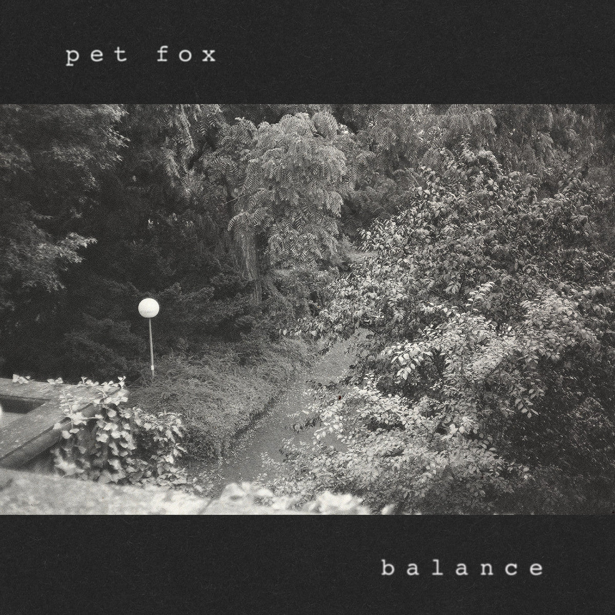 PRE-ORDER: Pet Fox - Balance (Cobweb Colored Vinyl) Vinyl Record