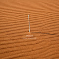 Enclosures Music CD