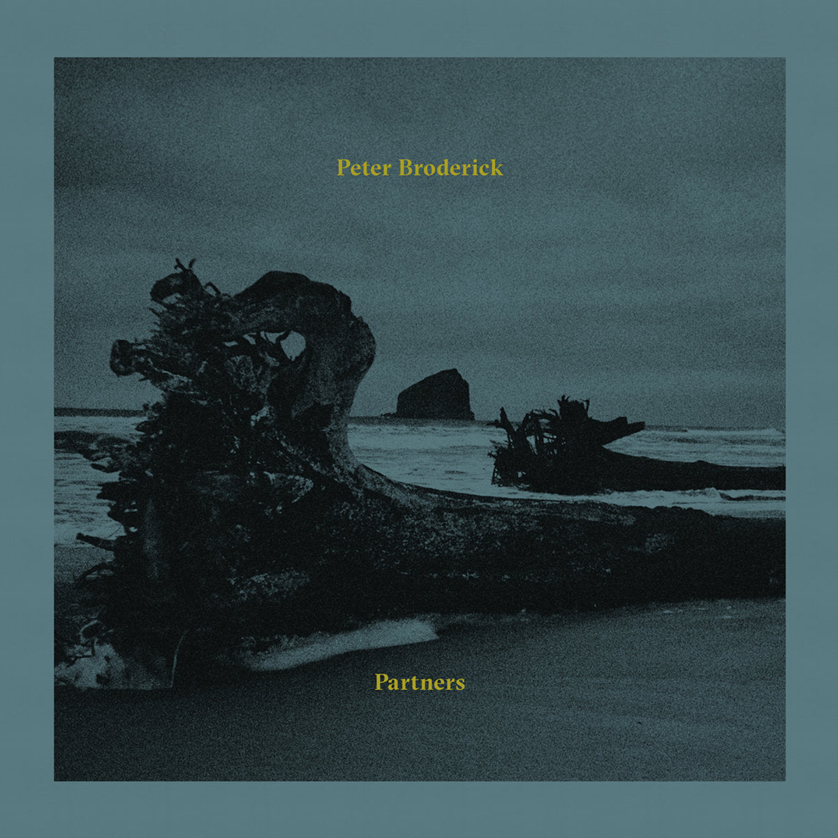 Partners Music CD