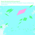 Give It to the Sky: Arthur Russells Tower of Meaning Expanded Music CD