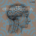 Cibernetica Vinyl Record