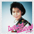 Lam Klom Thung: Essential Phairin Phonphibun Vinyl Record