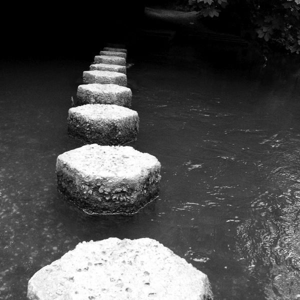 Harps Old Master Music CD
