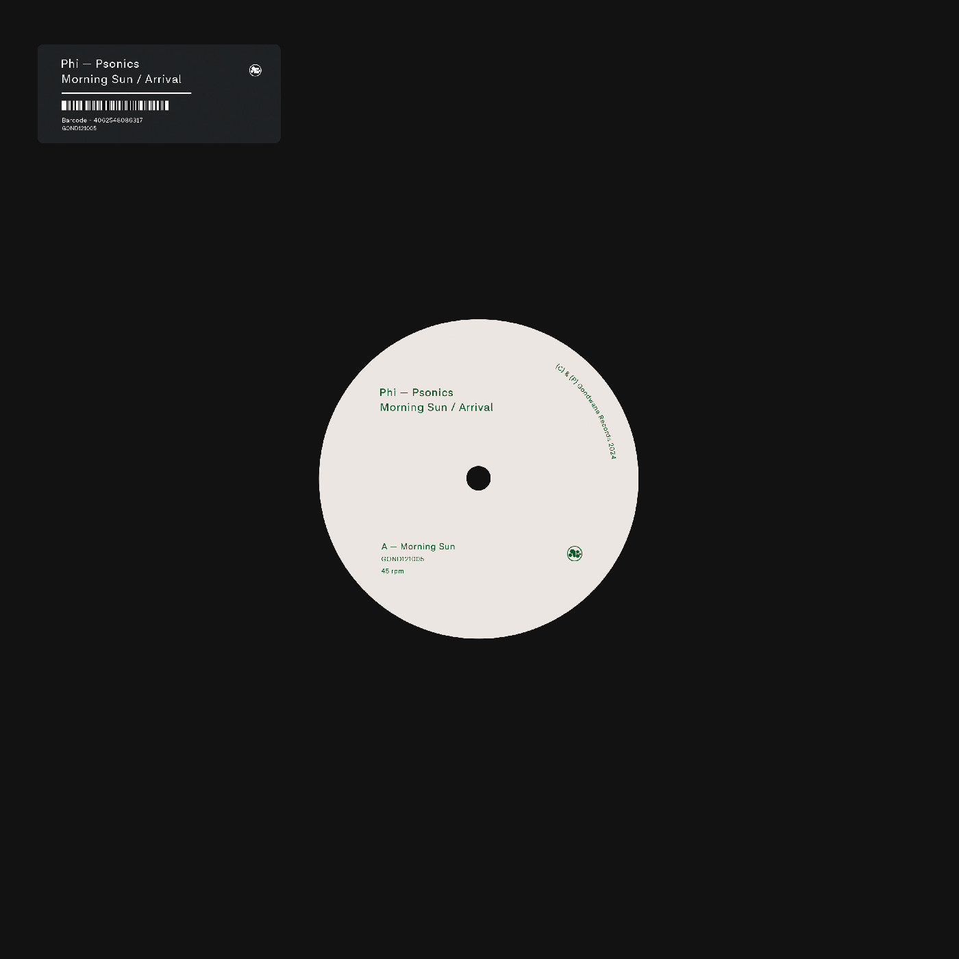 Morning Sun / Arrival Vinyl Record