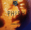 Phish - A Picture of Nectar (2 LP) (Grape Apple Pie Vinyl) Vinyl Record