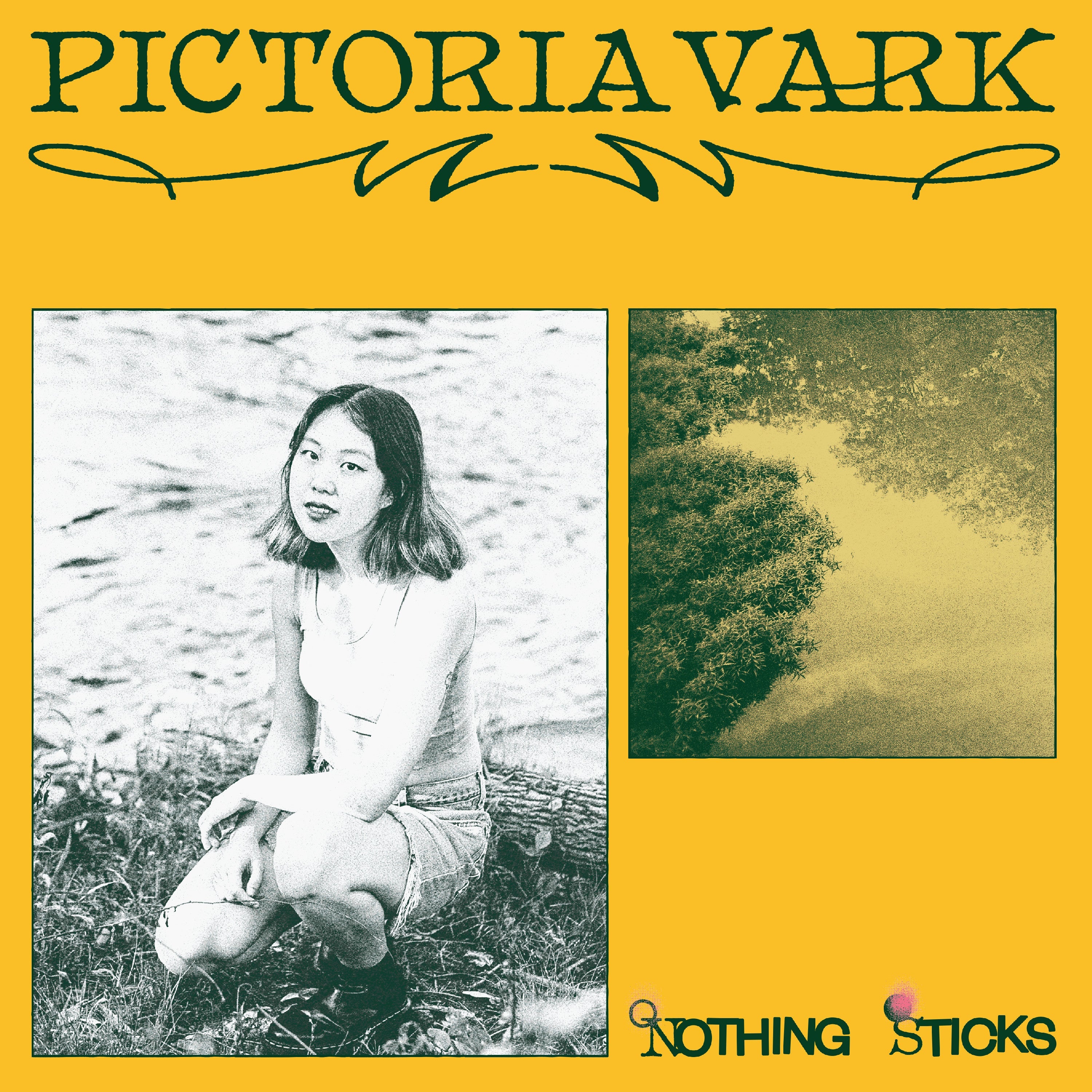 Nothing Sticks Vinyl Record
