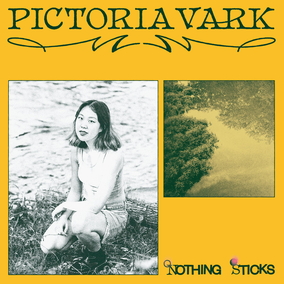 Pictoria Vark 'Nothing Sticks' (Black Vinyl) Vinyl Record