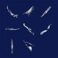 Memory Fragments Music CD