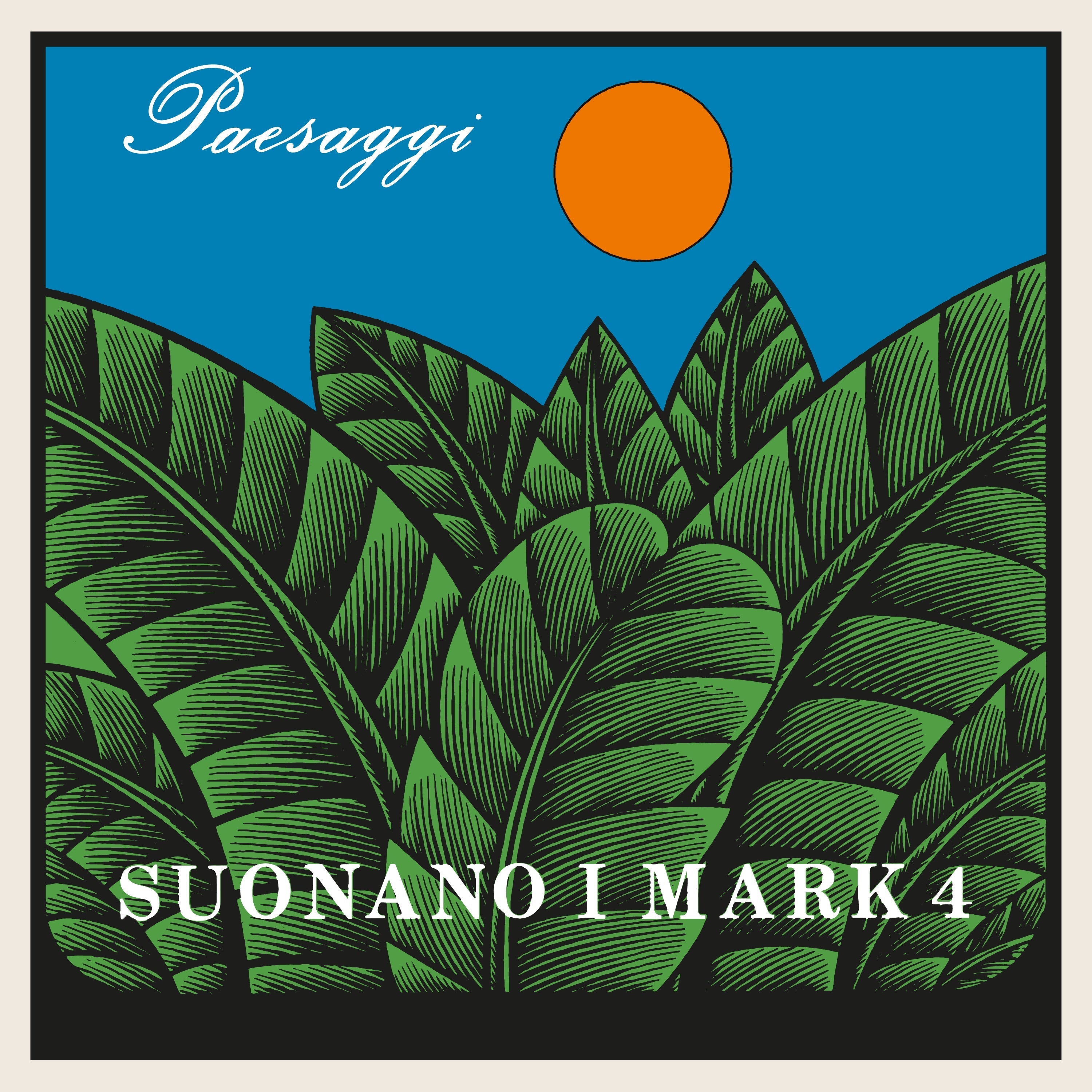 Paesaggi Vinyl Record