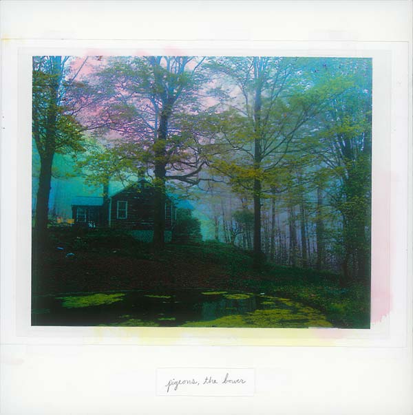 The Bower Vinyl Record