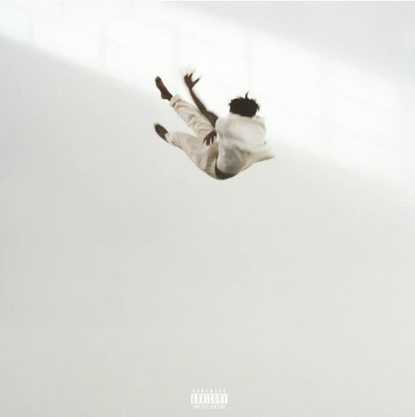 PRE-ORDER Daniel Caesar - Pilgrim’s Paradise (LP Transparent White & Black Marble) Vinyl Record