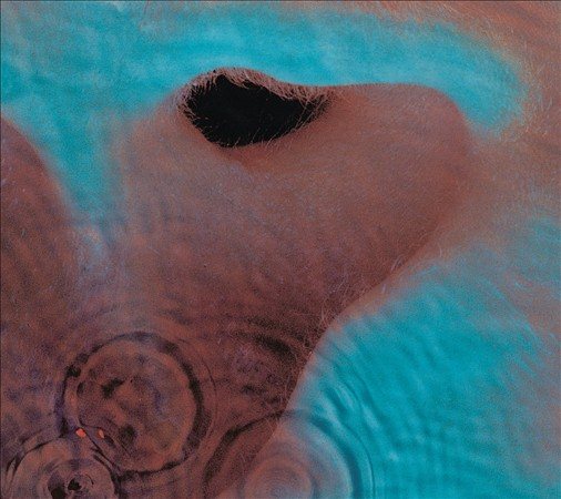 Meddle (Remastered CD) | Mint (M) Mint (M)
