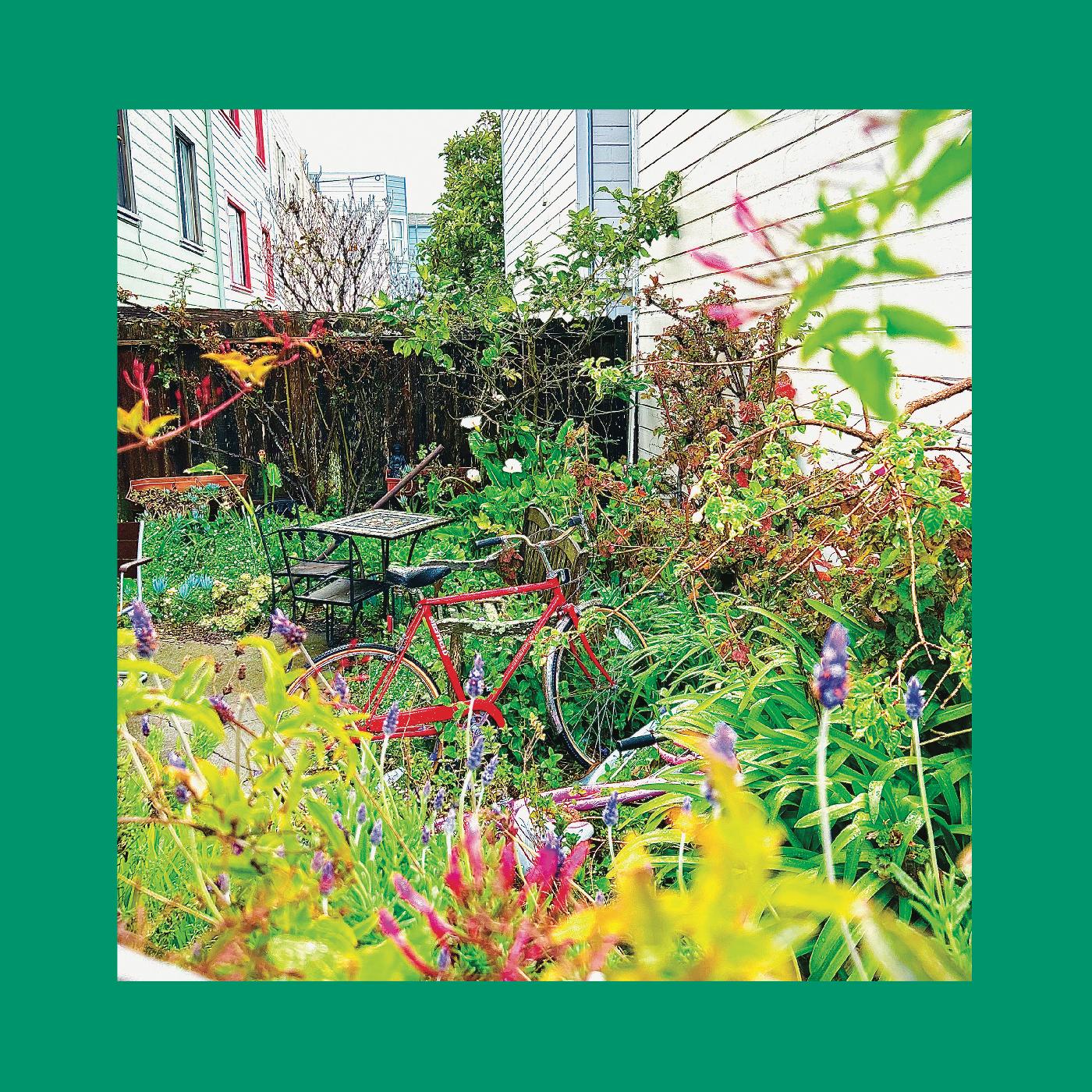 Unwishing Well Music CD