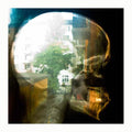 Reachy Prints Music CD