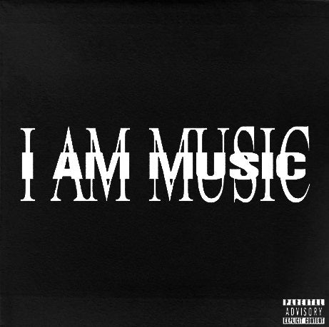 Music [2 Lp] Vinyl Record