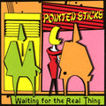 POINTED STICKS - Waiting For The Real (Orange Vinyl) Vinyl Record