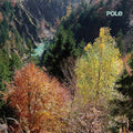 Wald Music CD