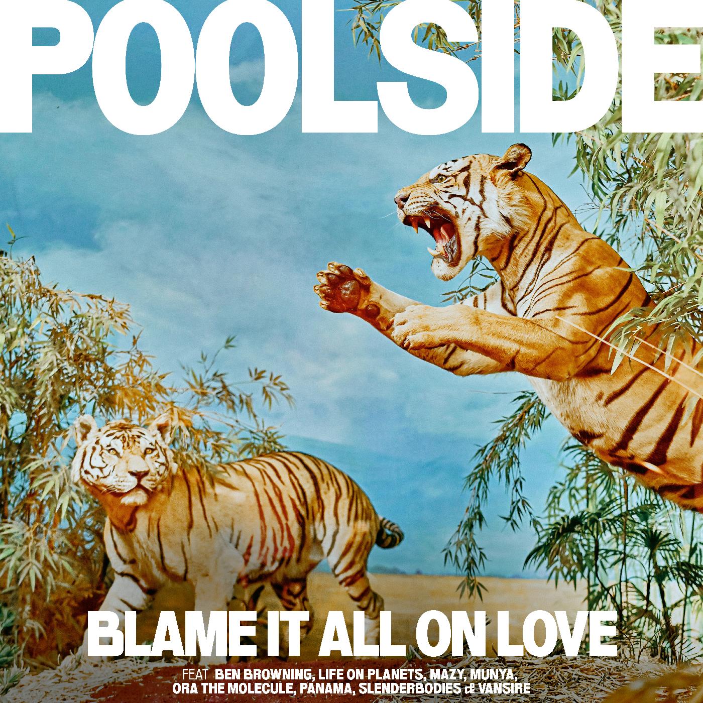 Blame It All On Love Music CD