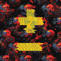 Skeletons Music CD