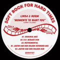 Linda & Norm - Moments to Want You (VINYL) | Mint (M) Mint (M)