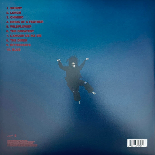 Hit Me Hard And Soft (VINYL) | Mint (M) Mint (M)