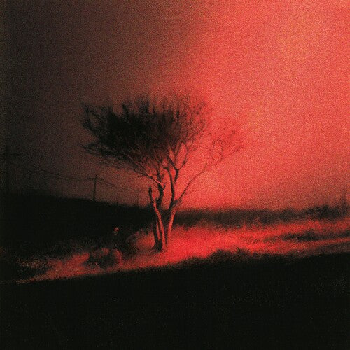 Joji - Piss In The Wind (CD) | Mint (M) Mint (M)