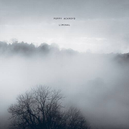 Poppy Ackroyd - Liminal [Vinyl] Vinyl Record