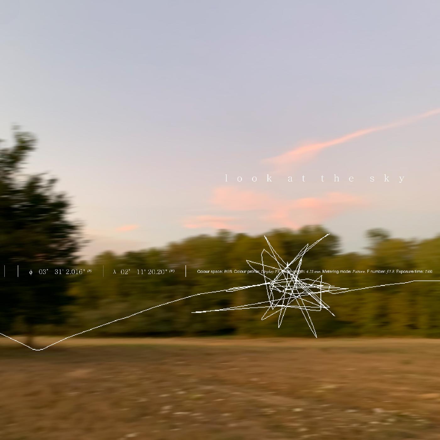 Look At The Sky (Indie Exclusive) Vinyl Record