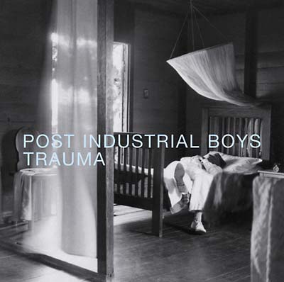 Post Industrial Trauma Music CD