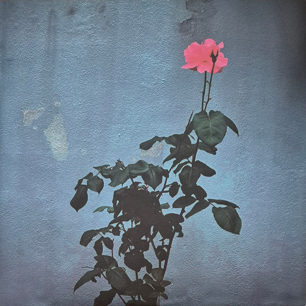 Home Front (2) - Watch It Die (GREEN VINYL) |