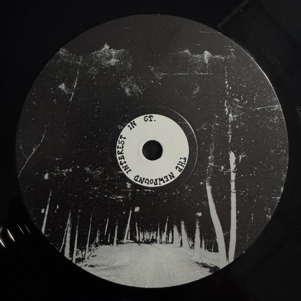 The Newfound Interest In Connecticut - Tell Me About The Long Dark Path Home (2xVINYL) | Mint (M) Mint (M)