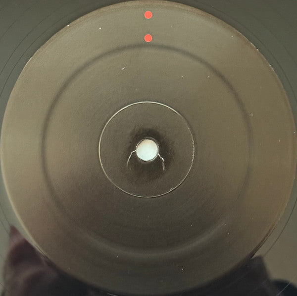 Gastr Del Sol - Camoufleur (VINYL) |