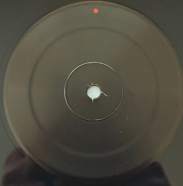 Gastr Del Sol - Camoufleur (VINYL) |