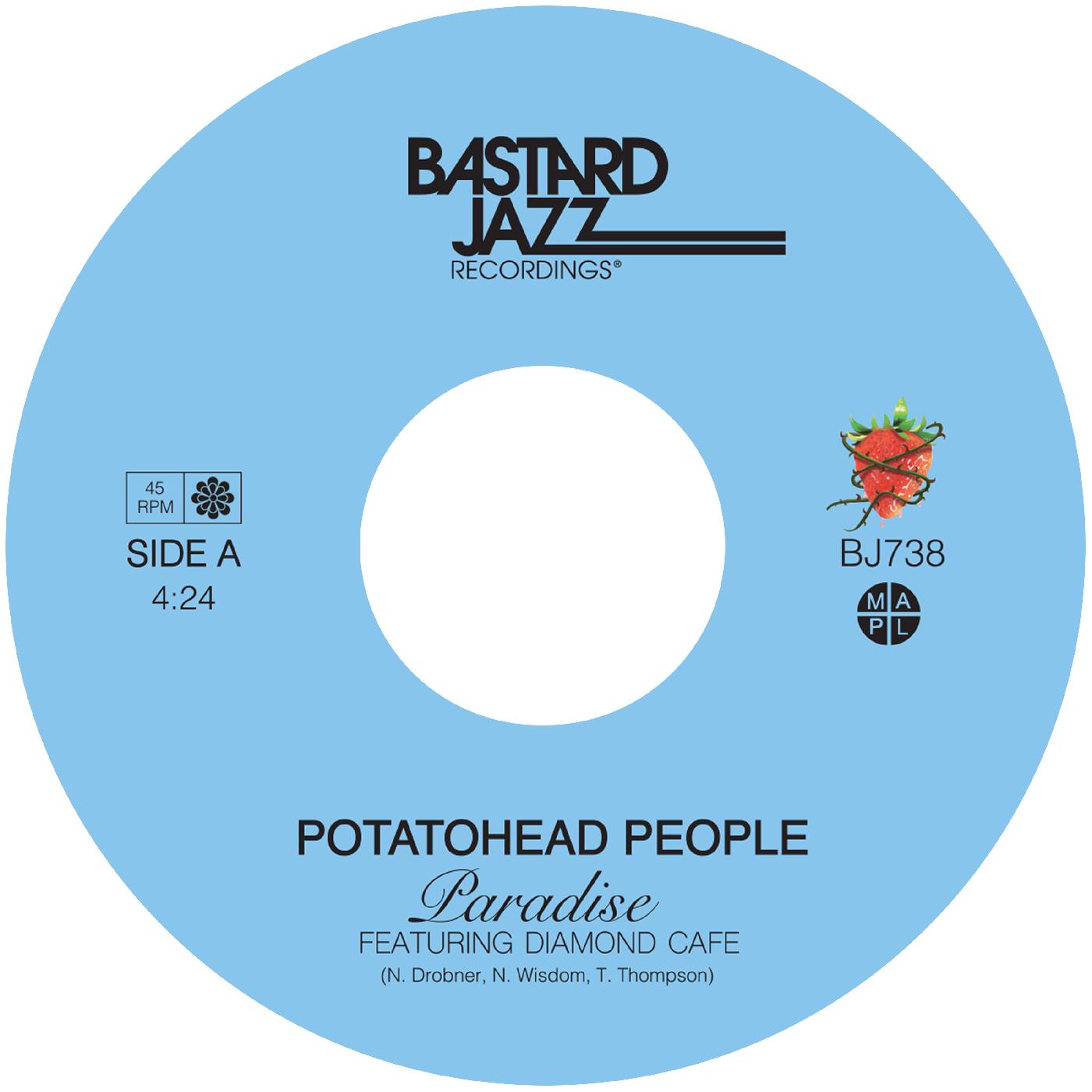 Paradise Vinyl Record