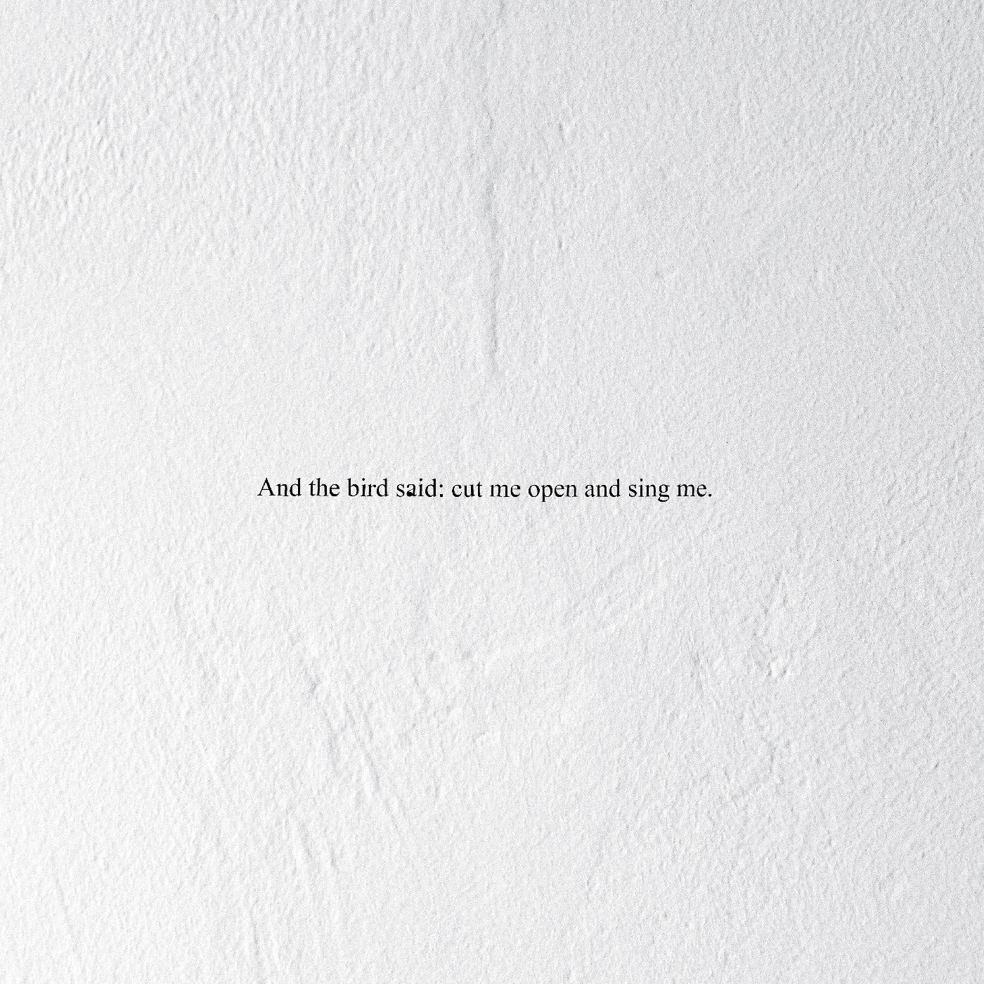 And the Bird Said: Cut Me Open and Sing Me Music CD