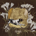 Prawn - Run Music CD