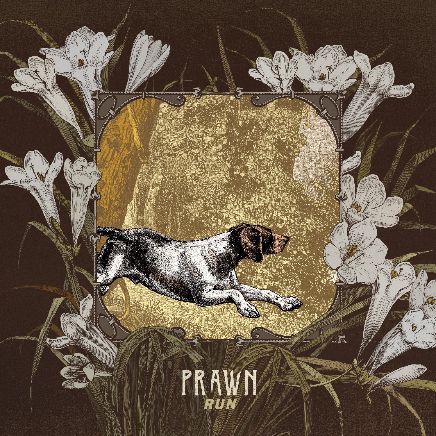 Prawn - Run Music CD