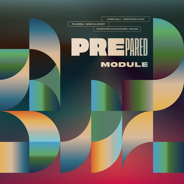Module Vinyl Record
