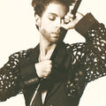 Prince - The Hits 1 (2LP 150g Vinyl) | Mint (M) Mint (M)
