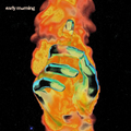 SILVER LAKE / EVO (VINYL) | Mint (M) Mint (M)