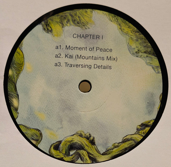The Book Of Wisdom (2xVINYL) |
