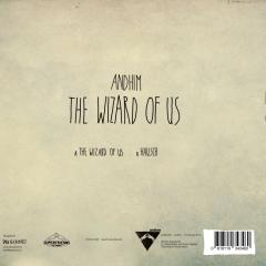 The Wizard Of Us (VINYL 12") | Mint (M) Mint (M)
