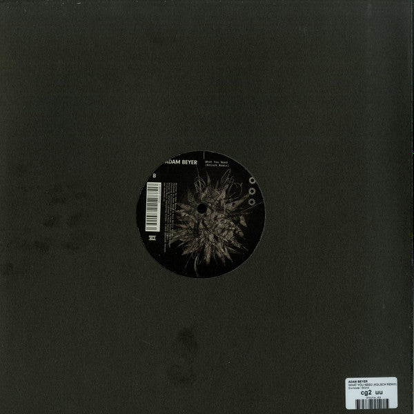 What You Need (Kölsch Remix)(VINYL) | Mint (M) Mint (M)