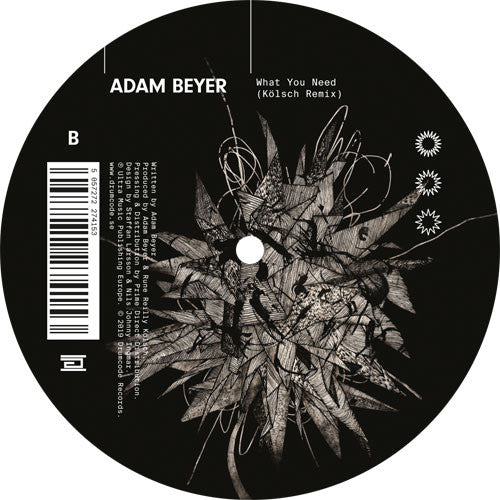 What You Need (Kölsch Remix)(VINYL) | Mint (M) Mint (M)